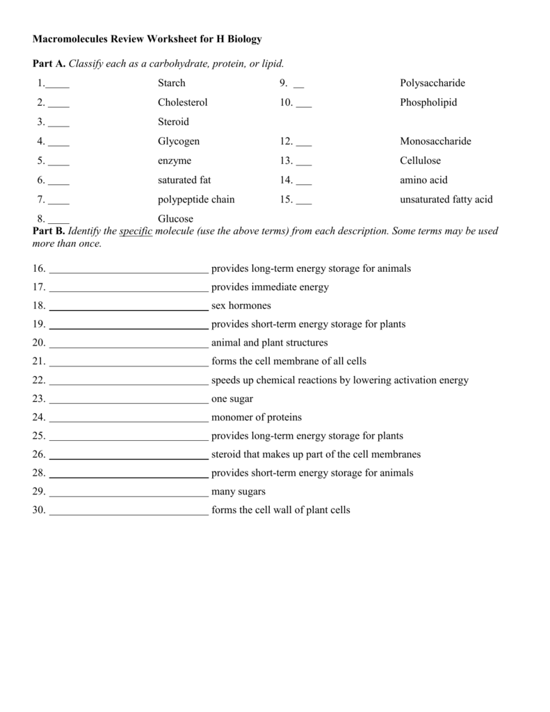 Macromolecules Worksheet #20 Pertaining To Macromolecules Worksheet 2 Answers