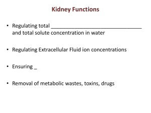 Kidney Functions