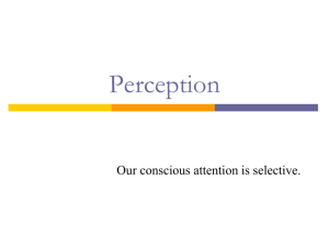 AP PPT Perception - APsych-PD