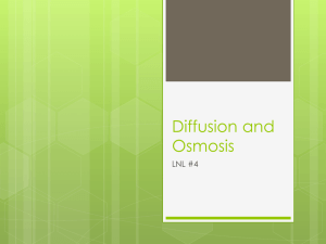 LNL #4 - Diffusion and Osmosis