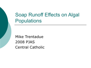 Soap Runoff Effects on Algal Populations POWER POINT