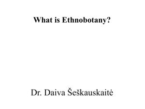 Šeškauskaitė, Daiva (2009): What is Ethnobotany?