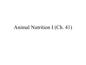 Lecture 4: Animal Nutrition I