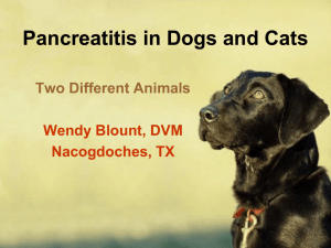 PowerPoint - Pancreatitis in Dogs and Cats, Two Different Animals