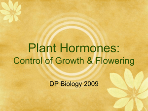 Plant Hormones: Control of Growth & Flowering