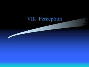 VI. Perception