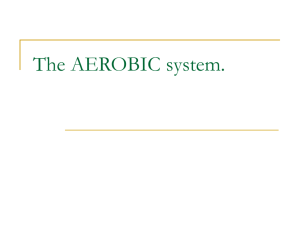 The AEROBIC system. - PhysicalEducationatMSC