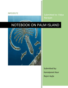 NOTEBOOK ON PALM ISLAND