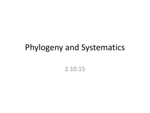 111070_Phylogeny