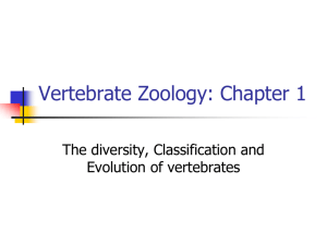 Vertebrate Zoology: Chapter 1