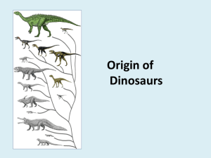Part 3 - Dinosaurs - How diversity is studied