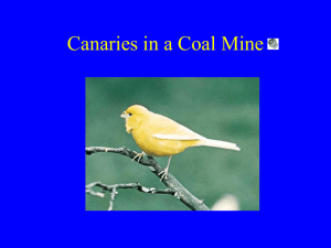 Canaries in a Coal Mine