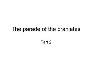 The parade of the craniates
