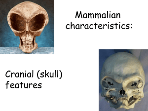 Lecture 2-Mammalian Chars