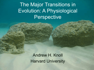 The Major Transitions in Evolution: A Physiological Perspective