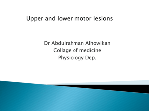 L21-Upper and lower motor lesions