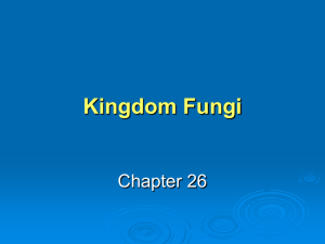 Chapter 26: Fungi