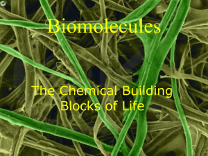 Biomolecules