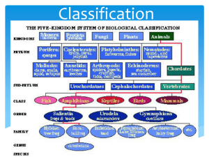 2-13-13 Classification PowerPoint