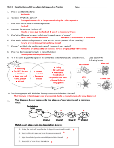 Unit 8 – Classification and Viruses/Bacteria Independent Practice
