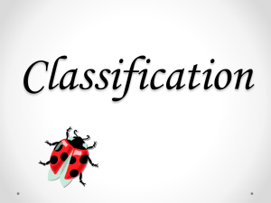 Introduction to Classification PPT