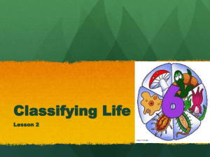 Classifying Life