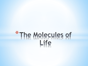 The Molecules of Life