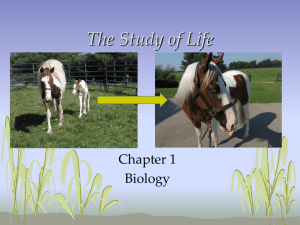 The Study of Life - Nicholas County Schools