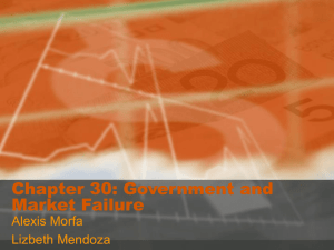 Chapter 30: Government and Market Failure