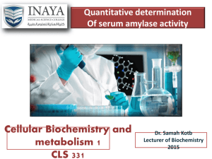 3. Quantitative determination of serum amylase activity practical part