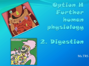 Option H Further human physiology 2. Digestion