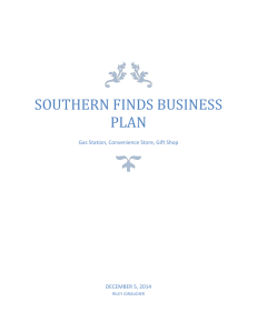 Southern Finds Business Plan