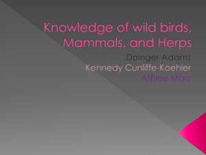 Knowledge of wild birds, Mammals, and Herps