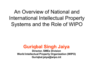 An Overview of National and International Intellectual Property