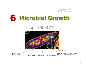 Microbial Growth - De Anza College