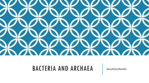 Domain and Bacteria