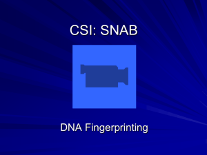 CSI DNA Fingerprinting