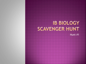 AP Biology Scavenger Hunt