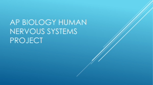 AP Biology Human Body Systems Pro