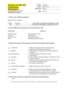 Features of Cells and Prokaryotes: Worksheet 2