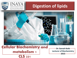 5. Digestion and absorbtion of lipids