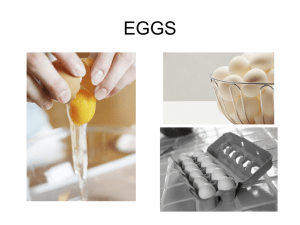 Eggs ppt