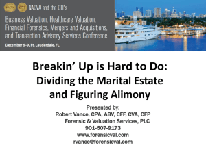 Marital Balance Sheet & Alimony Analysis