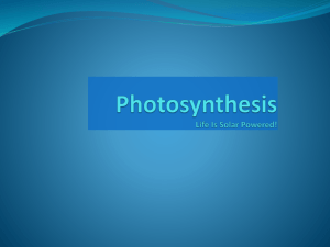 New Photosynthesis-Respiration notes (2012