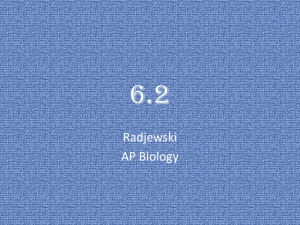 File - Biology with Radjewski