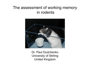 Paul Dudchenko: The assessment of working memory in