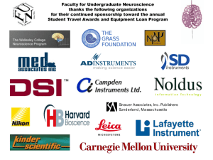 PowerPoint-Präsentation - Faculty for Undergraduate Neuroscience