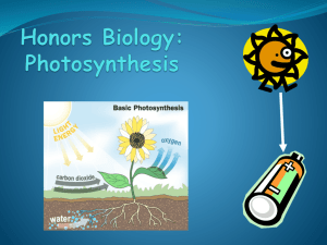 Honors Biology Chapter 6 Photosynthesis