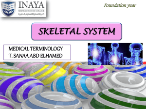 SKELETAL SYSTEM - INAYA Medical College