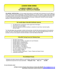 Yellow Belt Certificate Program